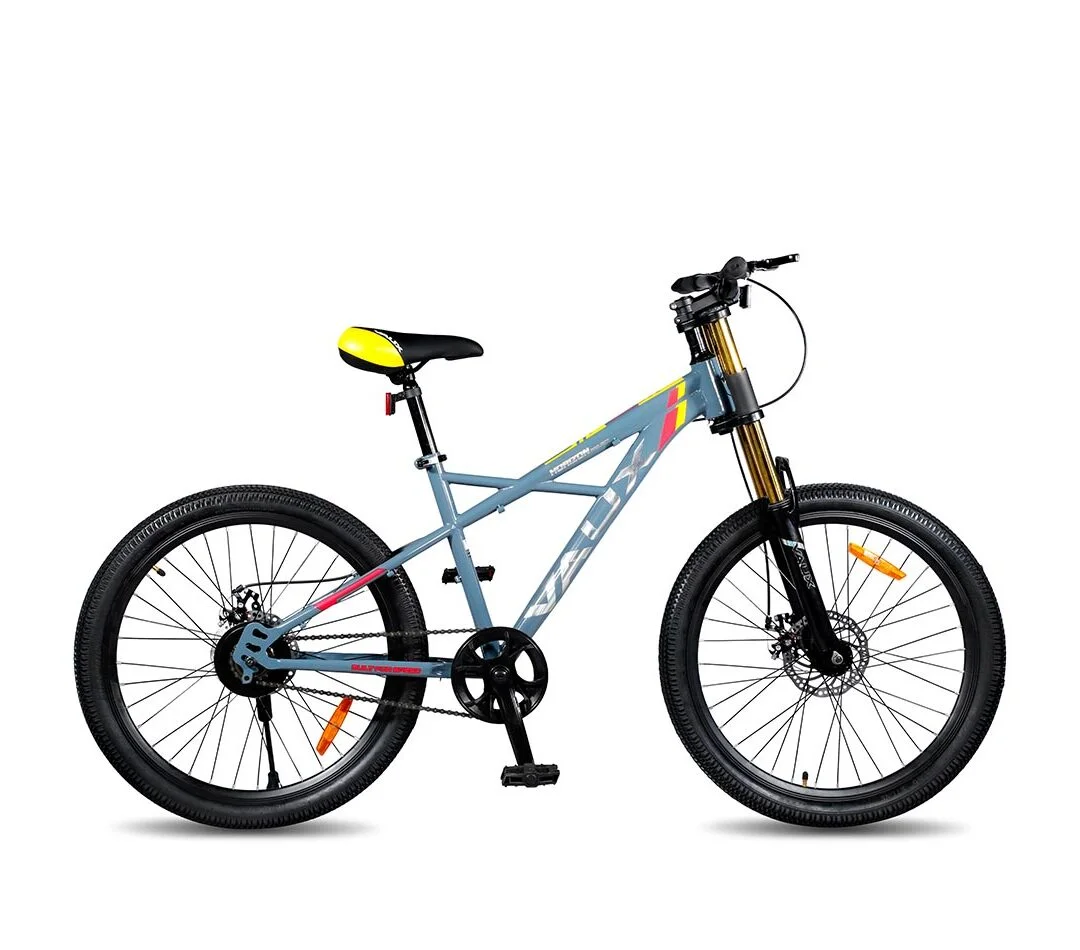 Horizon 24T (Single Speed, Dual-Crown Suspension)