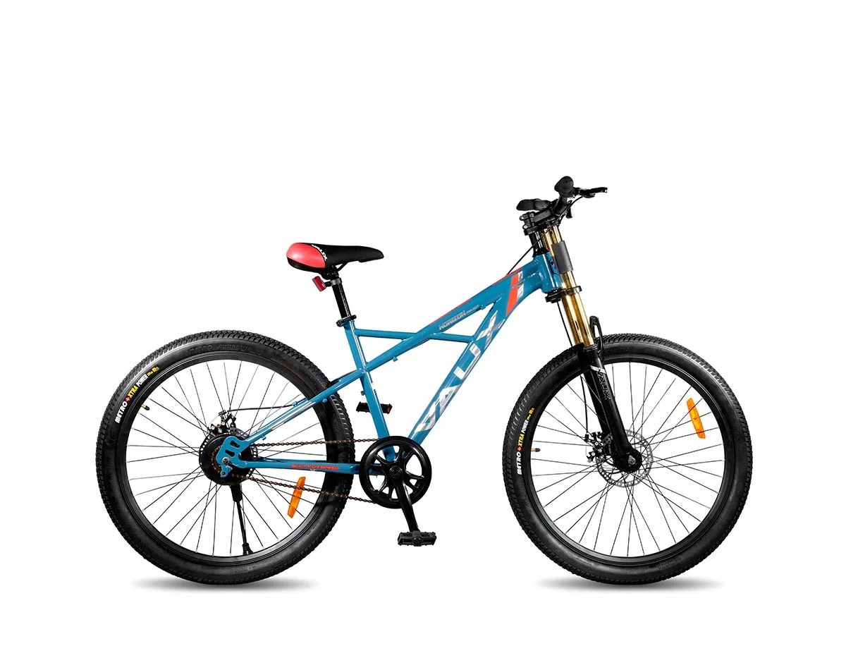 horizon 26T SS dual crown